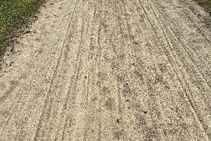 trail tracks