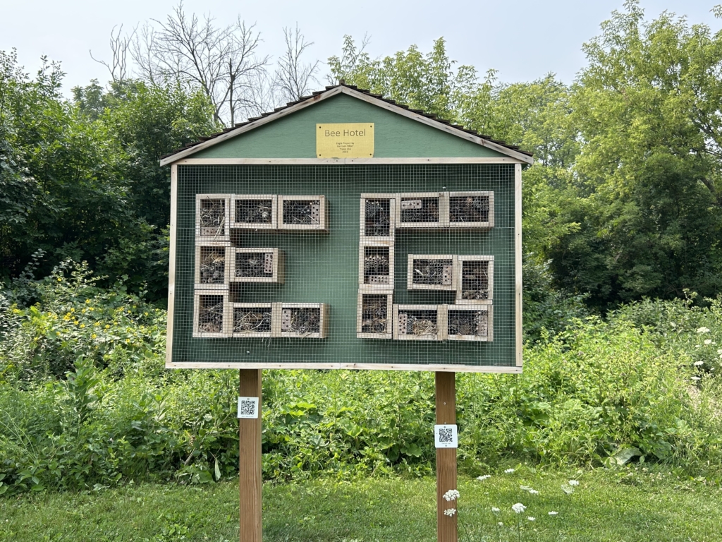 A hotel to protect native bees