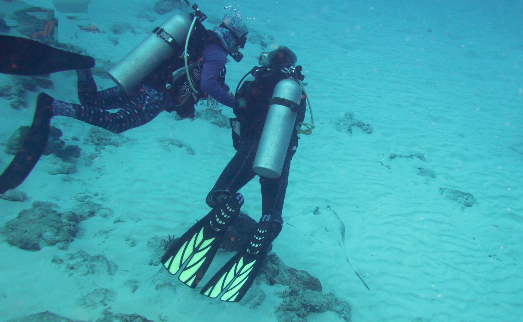 scuba divers under water