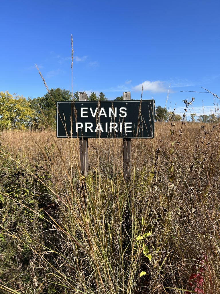 Tall grasses of Evans Prairie