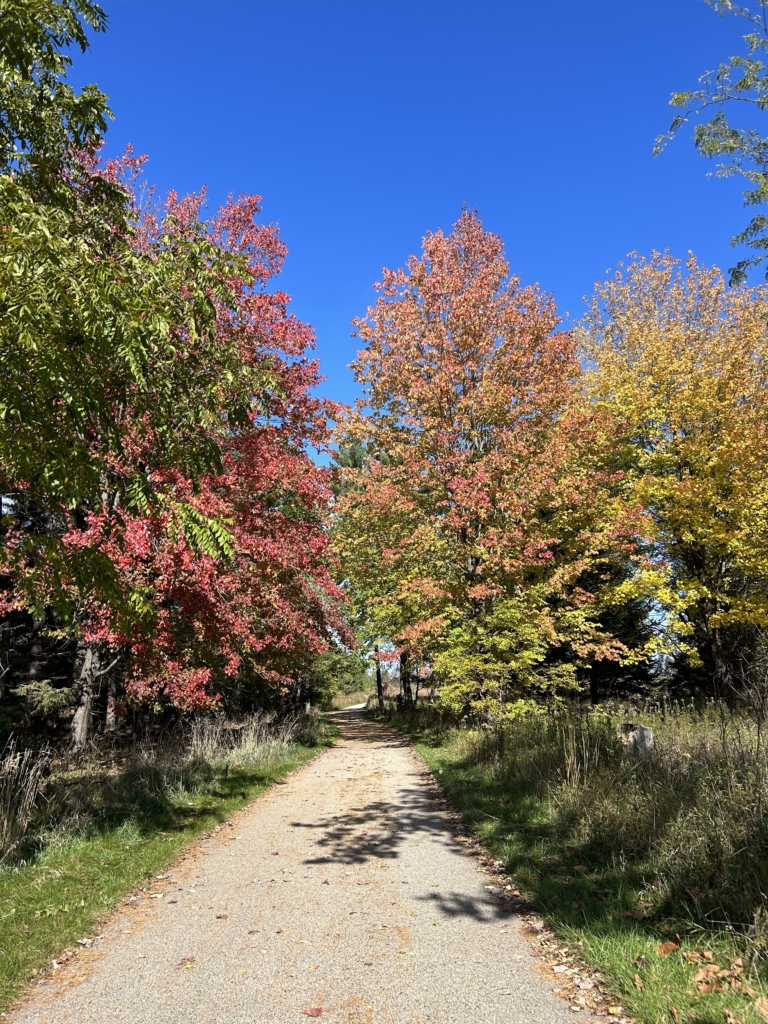 Beautiful fall colors on the trail