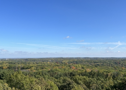 View from the top of Lapham Peak observation tower