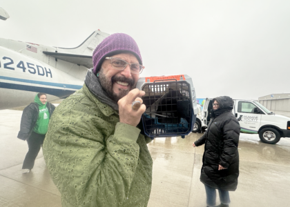Jackson Galaxy Brings Cat Strategies to Local Shelters